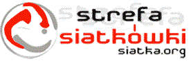 Siatka